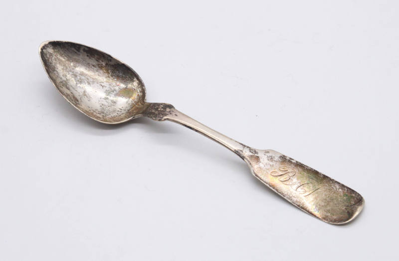 Fiddleback Teaspoon