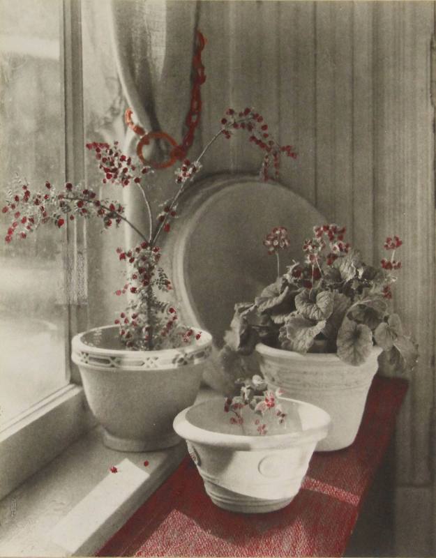 Still Life with Three Pots of Flowers