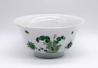 Bowl with Plants and Insects