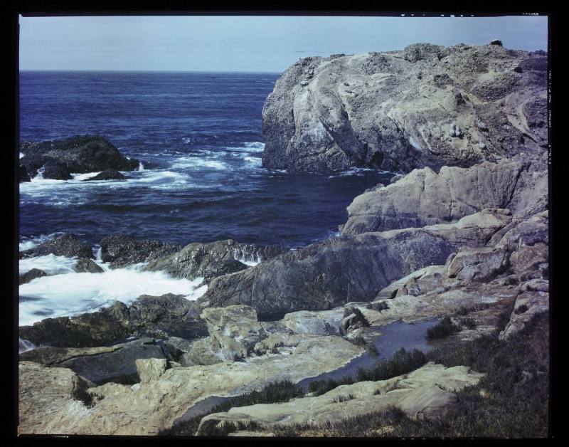 Untitled (Point Lobos)