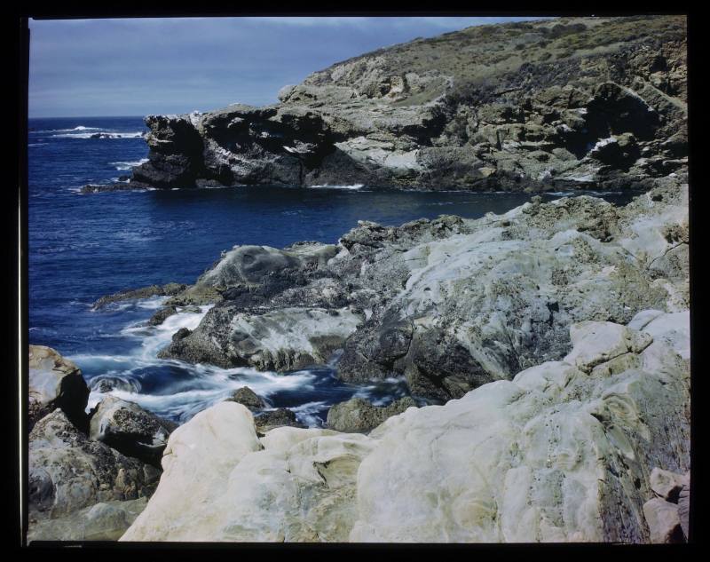 Untitled (Point Lobos)