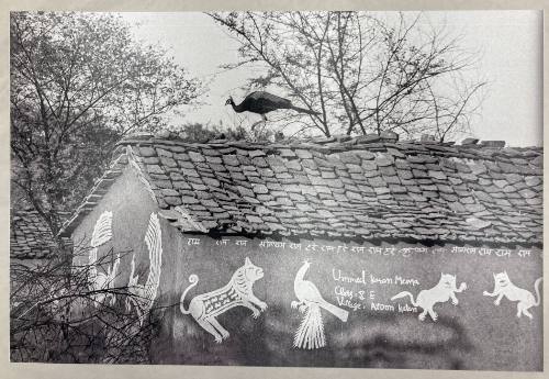 Peacock on the roof