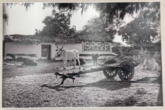 A farmer’s house