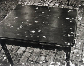 Sunspots on Uncovered Table, Umbertide, Italy