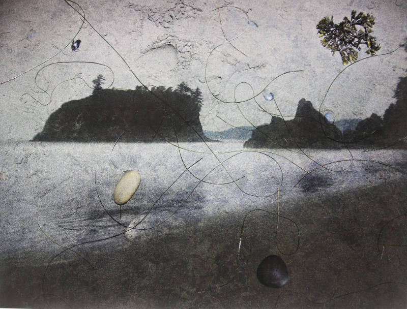 Tent-Camera Image on Ground: View of Sea Stacks Looking North, Ruby Beach, Olympic National Park, Washington