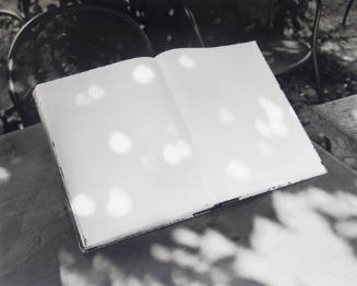 Sunspots on Book, Italy