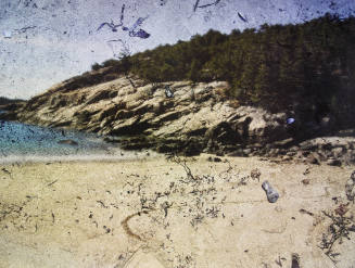 Tent-Camera Image on Ground: Sand Beach and Rocks, Acadia National Park, Maine