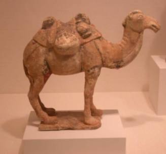 Standing Camel