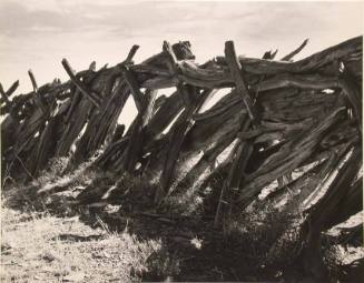 Navaho Fence