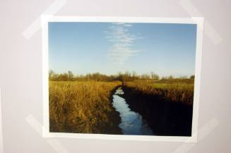 Drainage Ditch off Waits Road, Tipton County