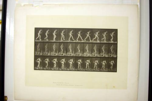 Eadweard Muybridge