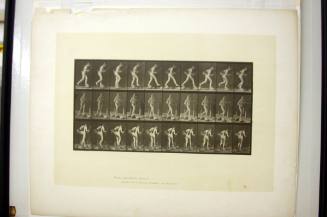 Eadweard Muybridge