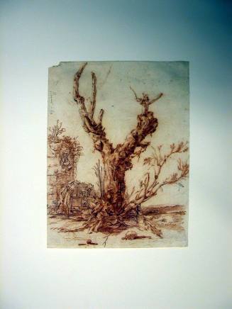 Study of a Dead Tree