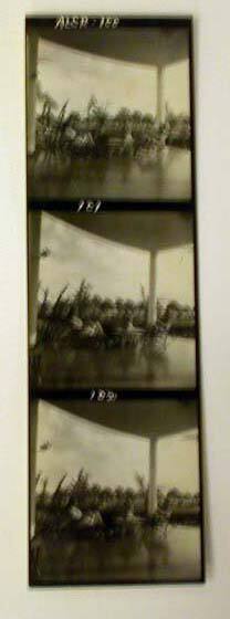 Three Contact Prints