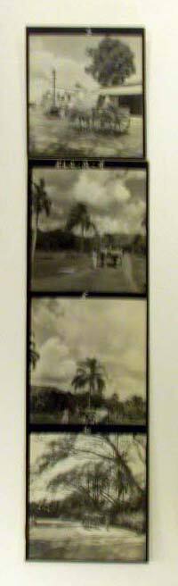 Four Contact Prints