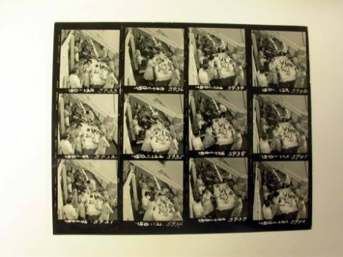 Twelve Contact Prints