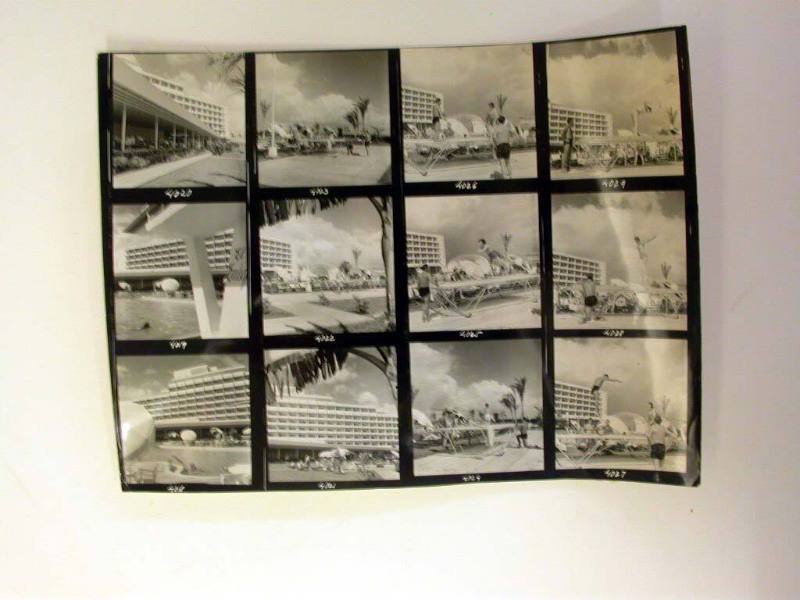 Twelve Contact Prints