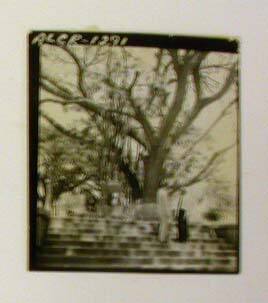 Contact Print