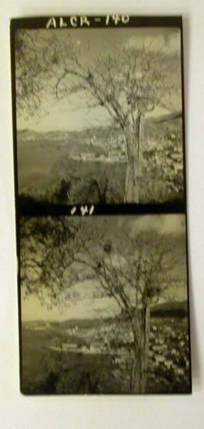 Two Contact Prints