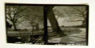Two Contact Prints