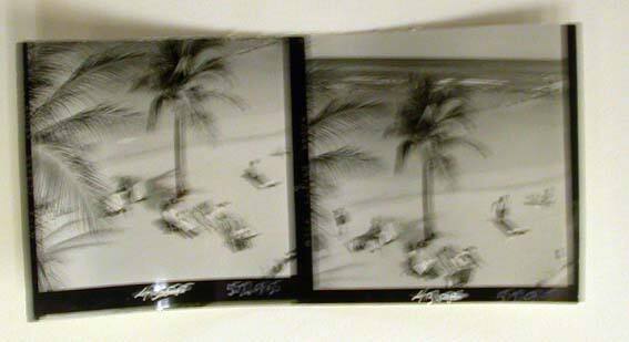 Two Contact Prints