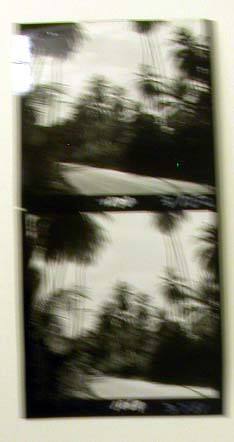 Two Contact Prints: