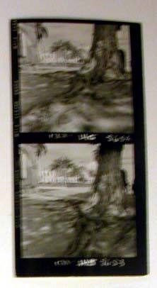 Two Contact Prints: