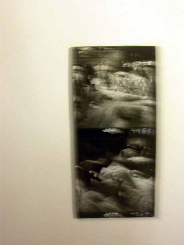 Two Contact Prints: