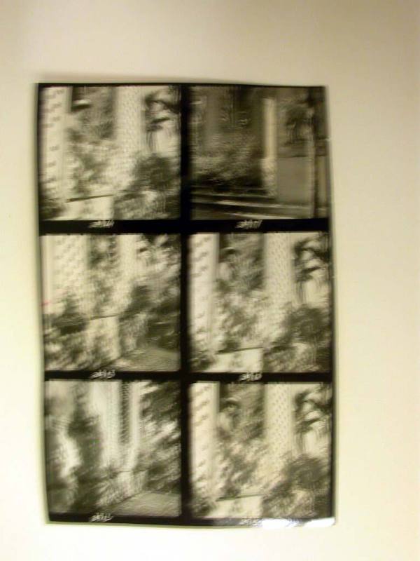 Six Contact Prints: