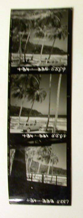 Three Contact Prints: