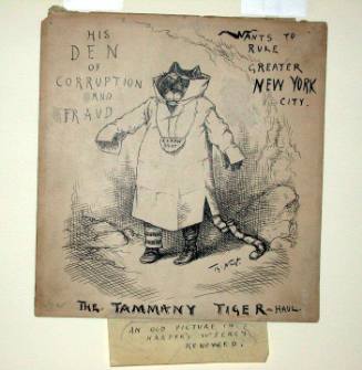 The Tammany Tiger-Haul