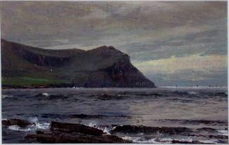 Coastal Scene