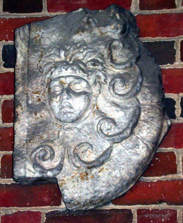 Medusa Head